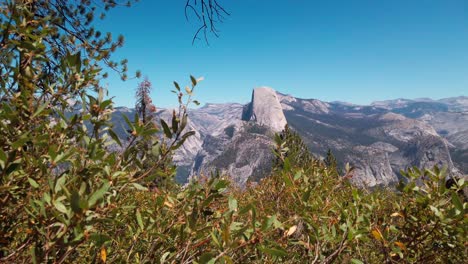 static shot of half dome and yosemite valley from glacier point with foliage in the foreground