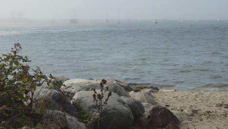 Rocks-and-boulders-with-plants-and-beach