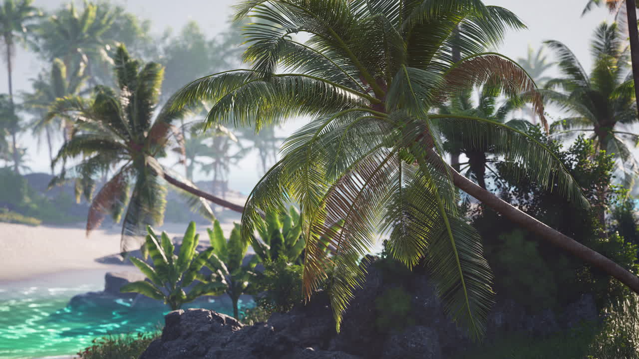 Lush tropical landscape with palm trees by the serene beach at sunrise