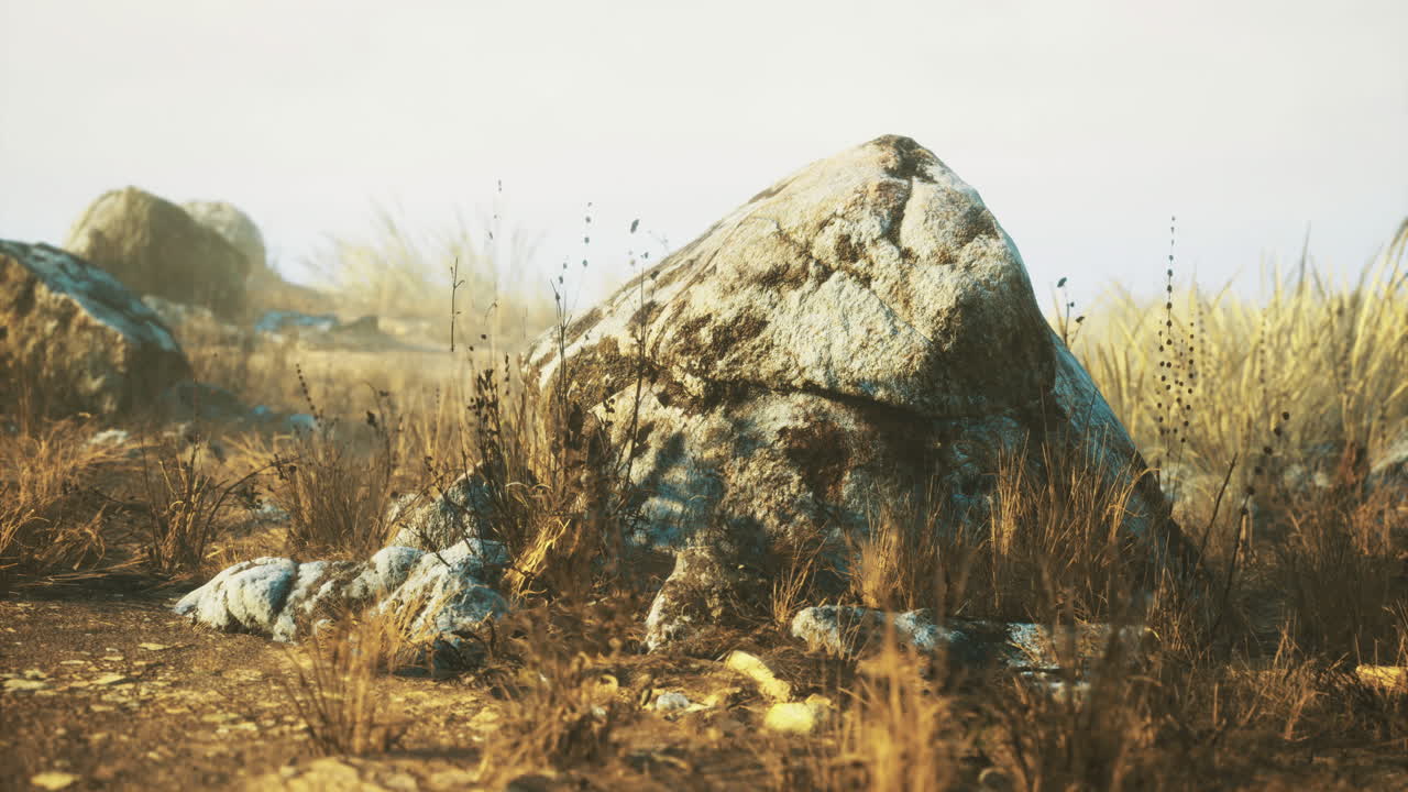 Beautiful rocky landscape under soft sunlight at dawn
