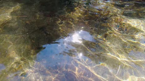 Die-Helle-Sommersonne-Spiegelt-Sich-In-Den-Klaren-Wellen-Des-Sees-Und-Beleuchtet-Den-Flachen-Unterwassersand-Mit-Wunderschönen-Abstrakten-Mustern,-Während-Kiefernnadeln-Im-Wasser-Treiben