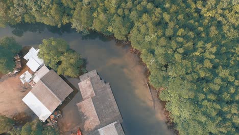 Sobrepesca-En-La-Aldea:-Amenaza-Para-La-Vida-Marina-Y-Los-Medios-De-Vida