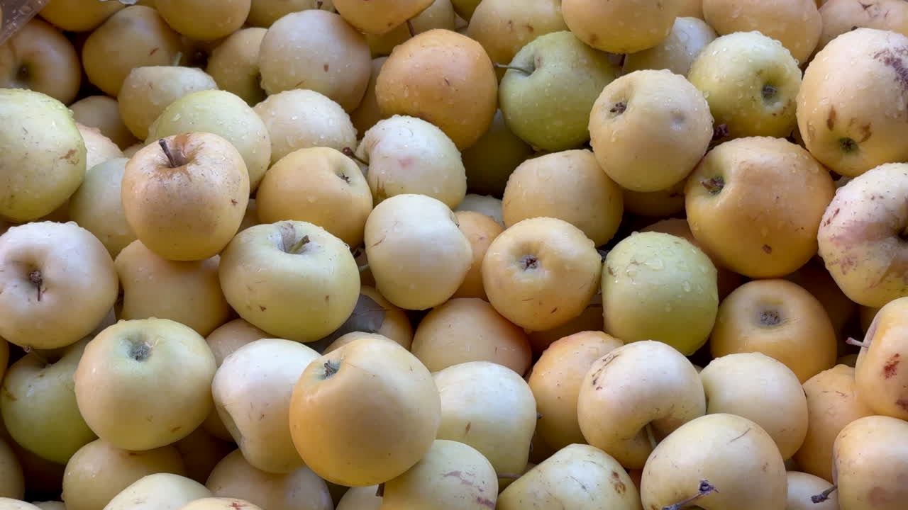 과수원에서 새로 뽑은 노란 사과들의 활기찬 어리.