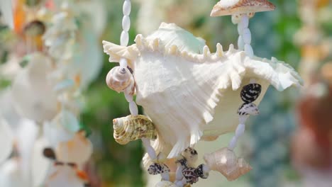 decoración de campanas de viento de conchas marinas