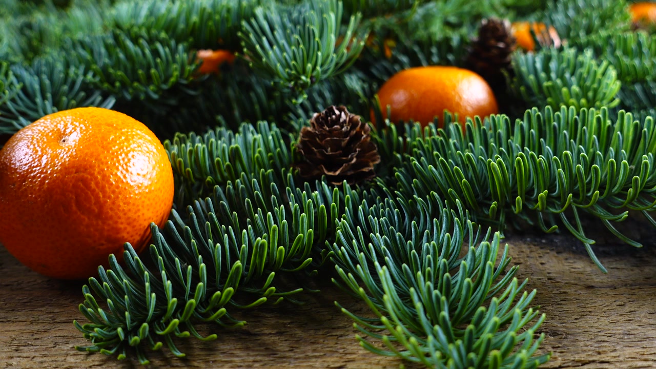 Abies nobilis-grenen ligger på en gammal träskiva i vintagestil och mandariner.