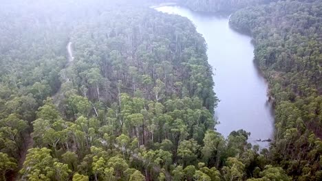 aerial footage forest with fallen trees next to the wombat creek dam, bullarto, after a storm on 10 june, 2021, victoria, australia