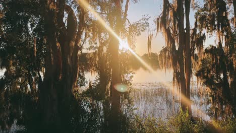 puesta de sol sobre un lago de florida con musgo español
