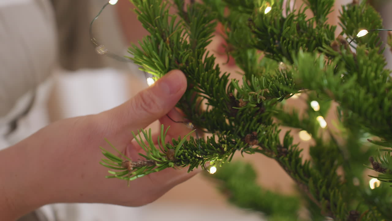 Close up view of hand gently wrapping small glowing string lights around lush green christmas tree branch during cozy holiday decorating session inside warm home interior filled with festive spirit