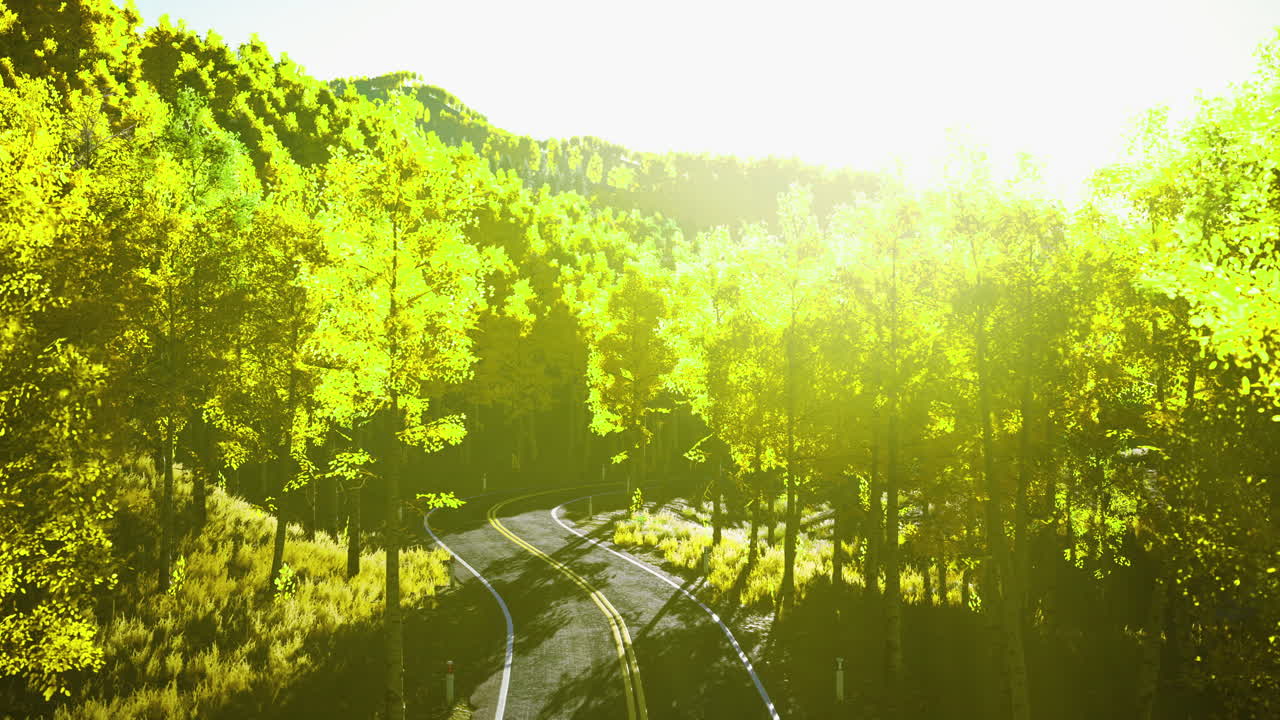 Winding road through vibrant trees with golden sunlight in a serene landscape