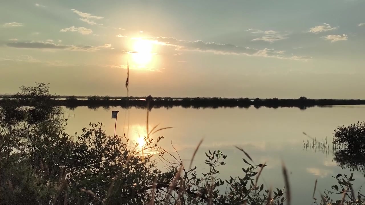 Zlatý západ slunce nad klidným jezerem se siluetou vegetace