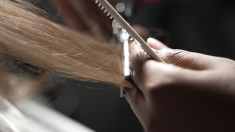 peluquero cortando el pelo con tijera