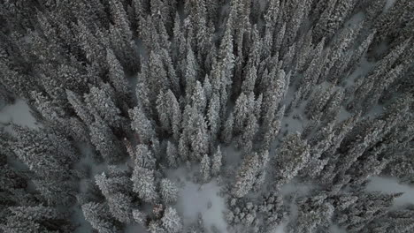 Berthoud-Berthod-Jones-Pass-Luftdrohne-Winter-Wunderland-Park-Colorado-Schneebedeckt-Schneesturm-Tiefer-Pulverschnee-Ski-Snowboarder-Hinterland-Rocky-Mountains-Nationalwald-Vogelperspektive-Nach-Oben-Filmisch-