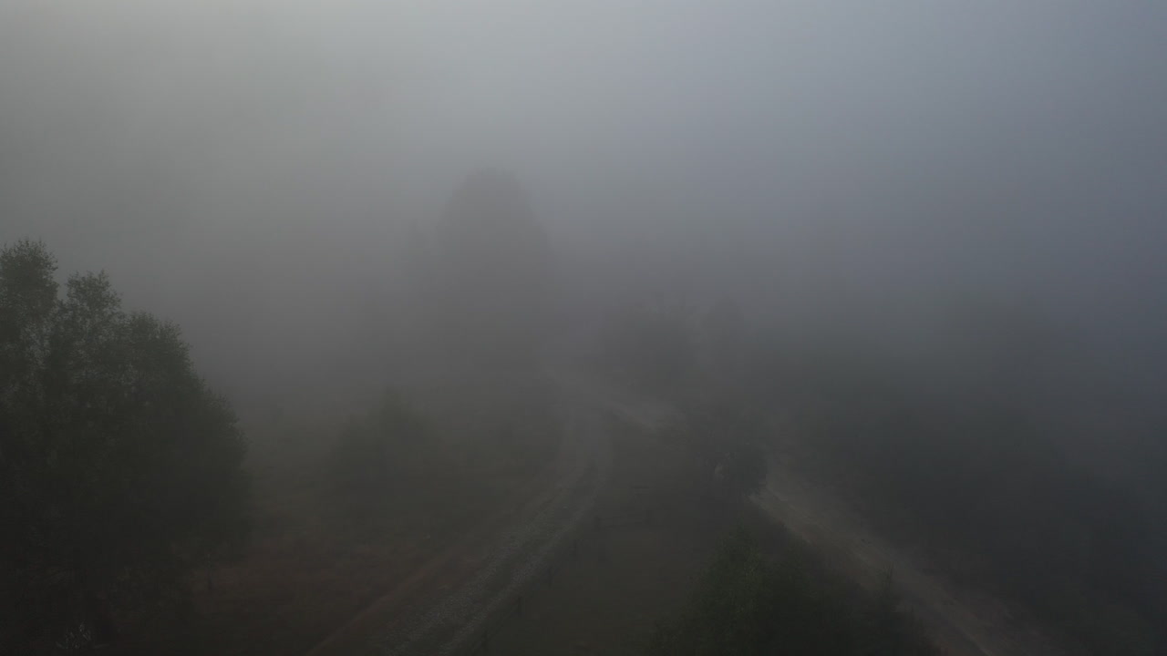 안개 숲 길 공중 사진