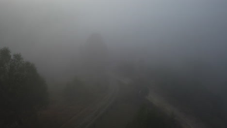 misty forest path aerial view