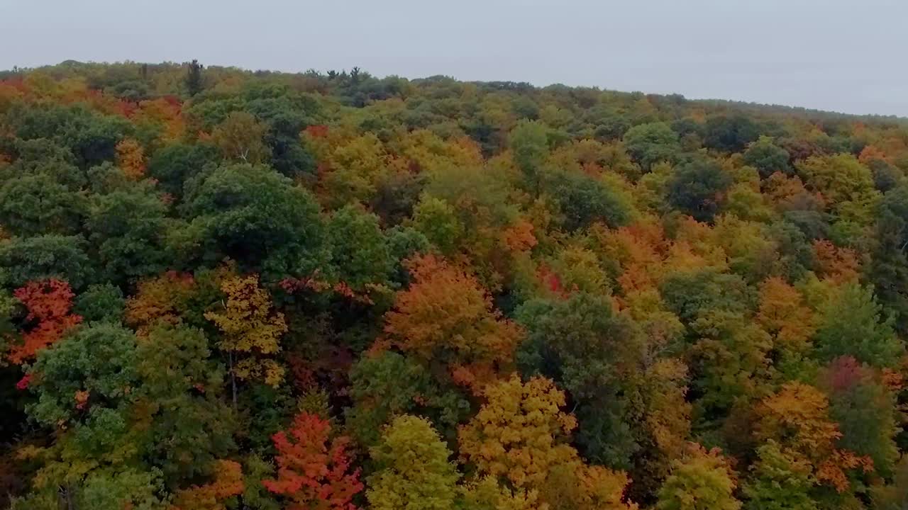 Gatineau Parkı'nda sonbaharda kırmızı ve turuncu ağaçların güzel bir yükselişli havadan çekimi.
