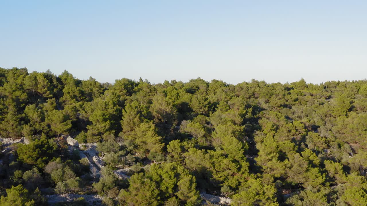 Carrellata aerea che supera una cresta boscosa per rivelare la costa dell'isola di Lussino, Croazia, e il mare oltre