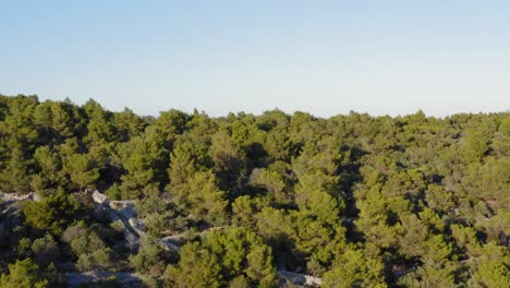 aerial dolly shot cresting a forested ridge to reveal the coast of losinj island, croatia, and the sea beyond