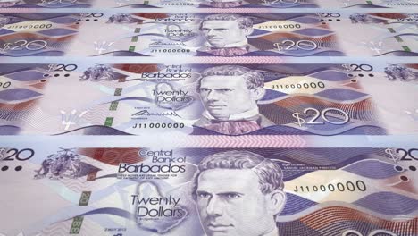 banknotes of twenty dollars of barbados island rolling, cash money, loop