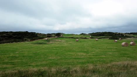 pradera de las tierras altas del campo con pacas de heno de paja enrollada en tierras de cultivo británicas nubladas abiertas