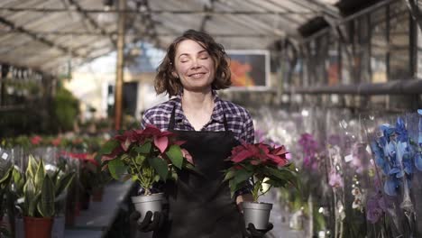 front view of a beautiful woman working in sunny greenhouse full of blooming plants, walking with two pots plants in hands and cheerfully smiling to a camera