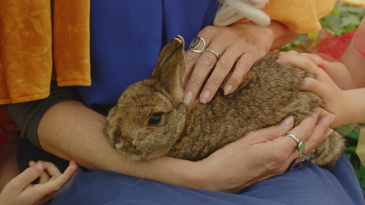 여러 아이들이 나이 든 여자에게 붙잡힌 귀여운 토끼를 만지고 있다