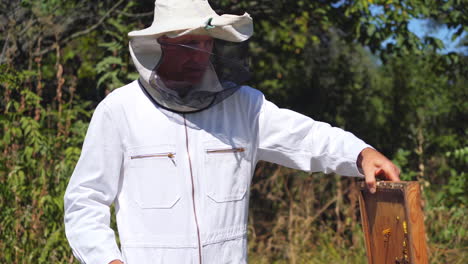beekeeper in protective suit outdoors. man apiculturist working on apiary in summer day. man in white uniform and hat near beehives on green nature background.