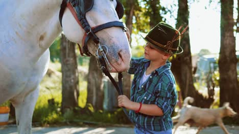 authentic close up shot of a little boy with a hat is caressing and kissing a white  horse