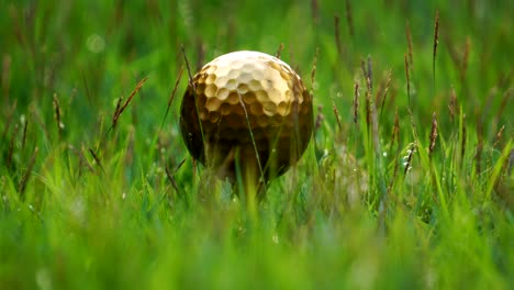 golf golf ball and pins gold against the background of natural beauty, the ultimate victory of golf