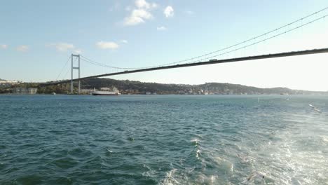 Blick-Auf-Die-Bosporus-brücke-Mit-Möwen-Während-Einer-Bootsfahrt-In-Istanbul