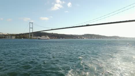 view to bosporus bridge with seagulls during boat cruise in istanbul