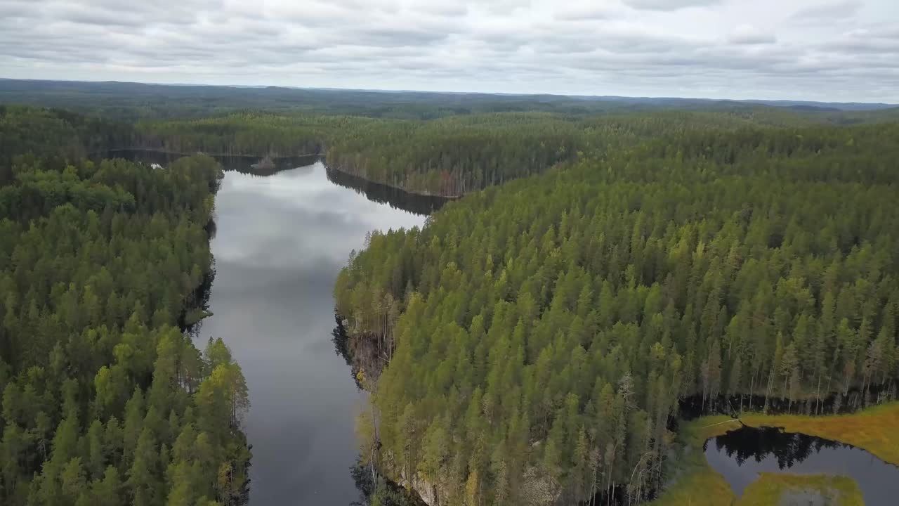 Vídeo de arquivo Premium - Lago idílico em meio a matagal de abetos ...