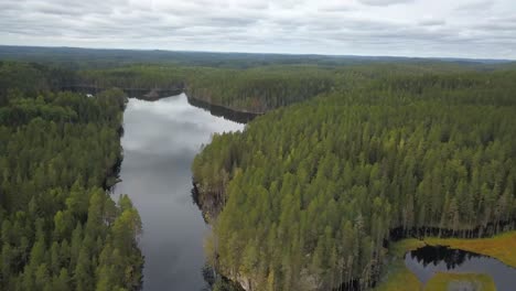 idyllic lake amidst greenery spruce thicket with cloudscape sky