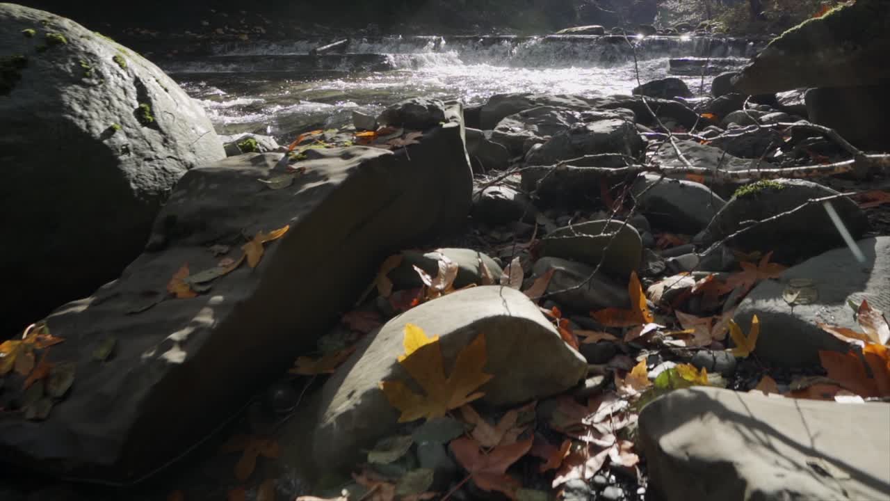 햇빛 아래 졸졸 흐르는 시냇물