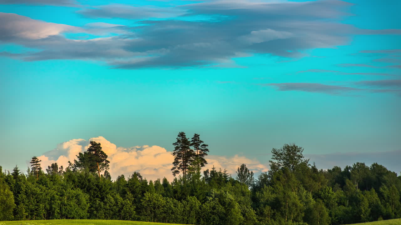 푸른 하늘에서 흔들리는 숲의 나뭇잎과 날아다니는 회색 및 흰색 구름의 파노라마 쇼 - 5k 프로레스 영상에서 저속 촬영