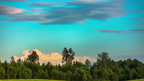 Espectáculo-Panorámico-De-Hojas-Ondulantes-De-árboles-Forestales-Y-Nubes-Grises-Y-Blancas-Voladoras-En-El-Cielo-Azul---Tiro-De-Lapso-De-Tiempo-En-Imágenes-De-5k-Prores