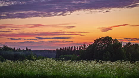 static shot of trees alongside green grasslands with wild white flowers in full bloom on a misty morning with clouds passing by in timelapse