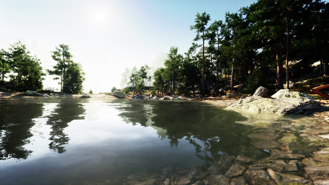 반사 된 조용 한 숲 호수