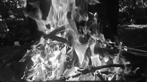 small campfire grill, slow motion, monochrome