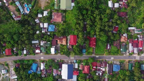 bird's eye view of lush green trees and countryside houses in southern leyte, philippines - aerial drone shot