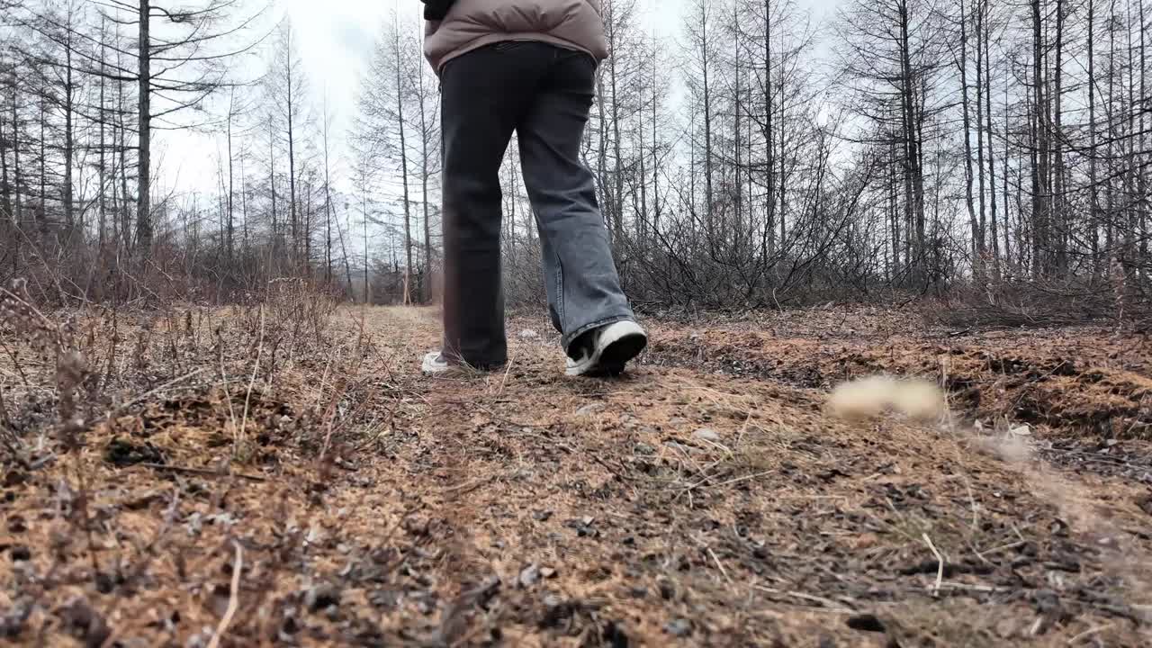 한 소녀가 봄의 회색 나무 숲에서 고 있습니다.