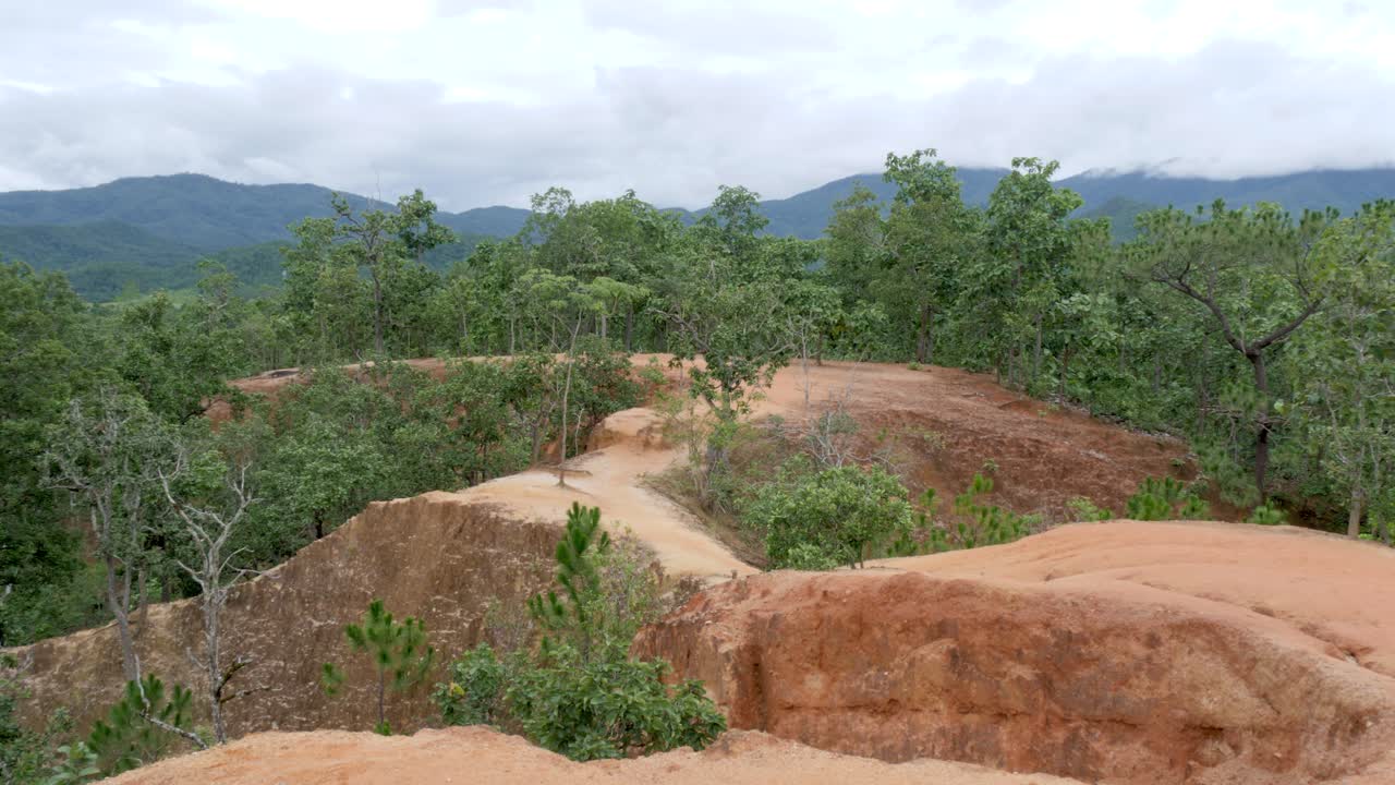 Arid landscapes, red earth sandstone terrain, remote forest environment