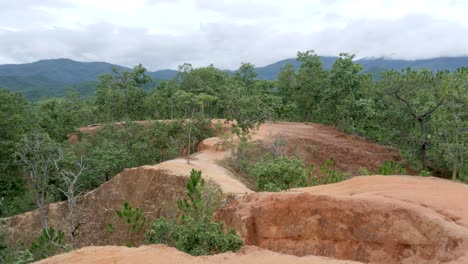 arid landscapes, red earth sandstone terrain, remote forest environment