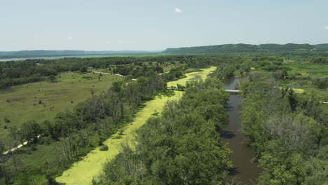 Backwaters-Covered-With-Algae-In-Trempealeau-National-Wildlife-Refuge-In-Summer-In-Wisconsin,-United-States