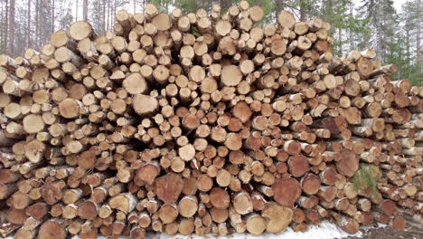 birch log pile by spring time, slow panning from right to left