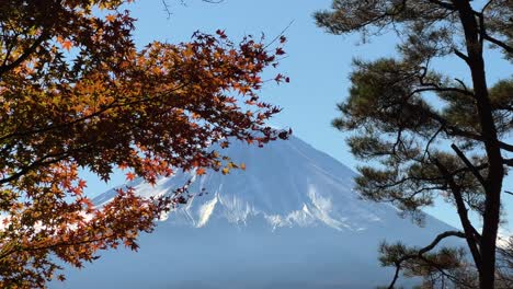 close up of mt. fuji snow covered top with autumn colors