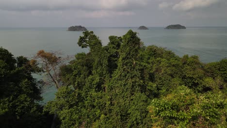 Bosque-Lluvioso-Aéreo-Con-Océano-Y-Palmeras-E-Islas-Tropicales-En-Segundo-Plano