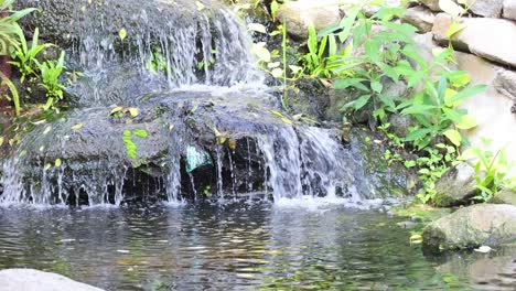 serene waterfall flowing in a lush garden