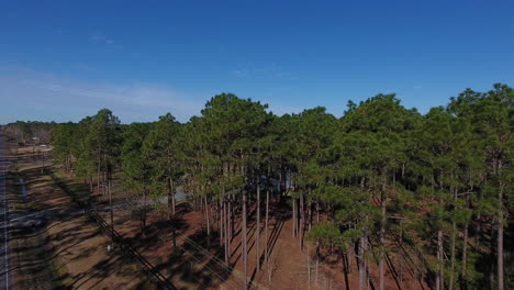 disparo de drones alejándose del bosque hacia una carretera secundaria en carolina del norte