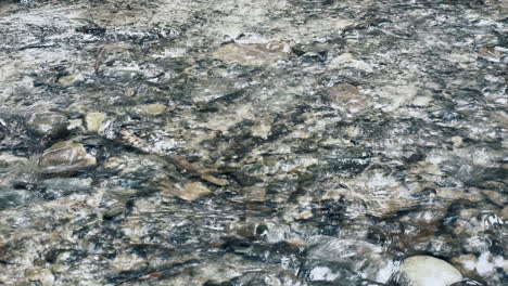 pure river water stream in gravel background macro. closeup swift mountain river