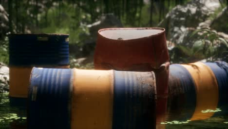 rusty barrels in green forest